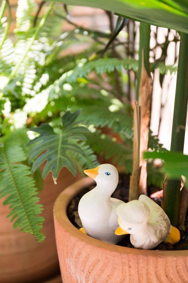 The Tippanet Hotel Chiang Mai (Adults Only) מראה חיצוני תמונה